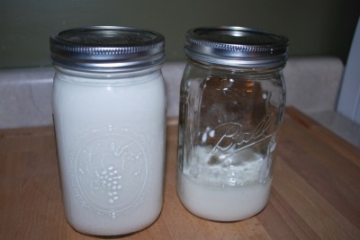 Using Kefir - Humorous Homemaking