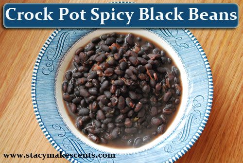 black bean recipes crock pot